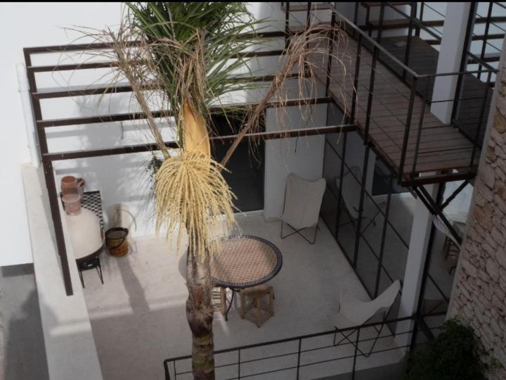 Bed and Breakfast Tigmi Anis à Essaouira Extérieur photo